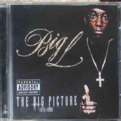 Big L The Big Picture [CD]